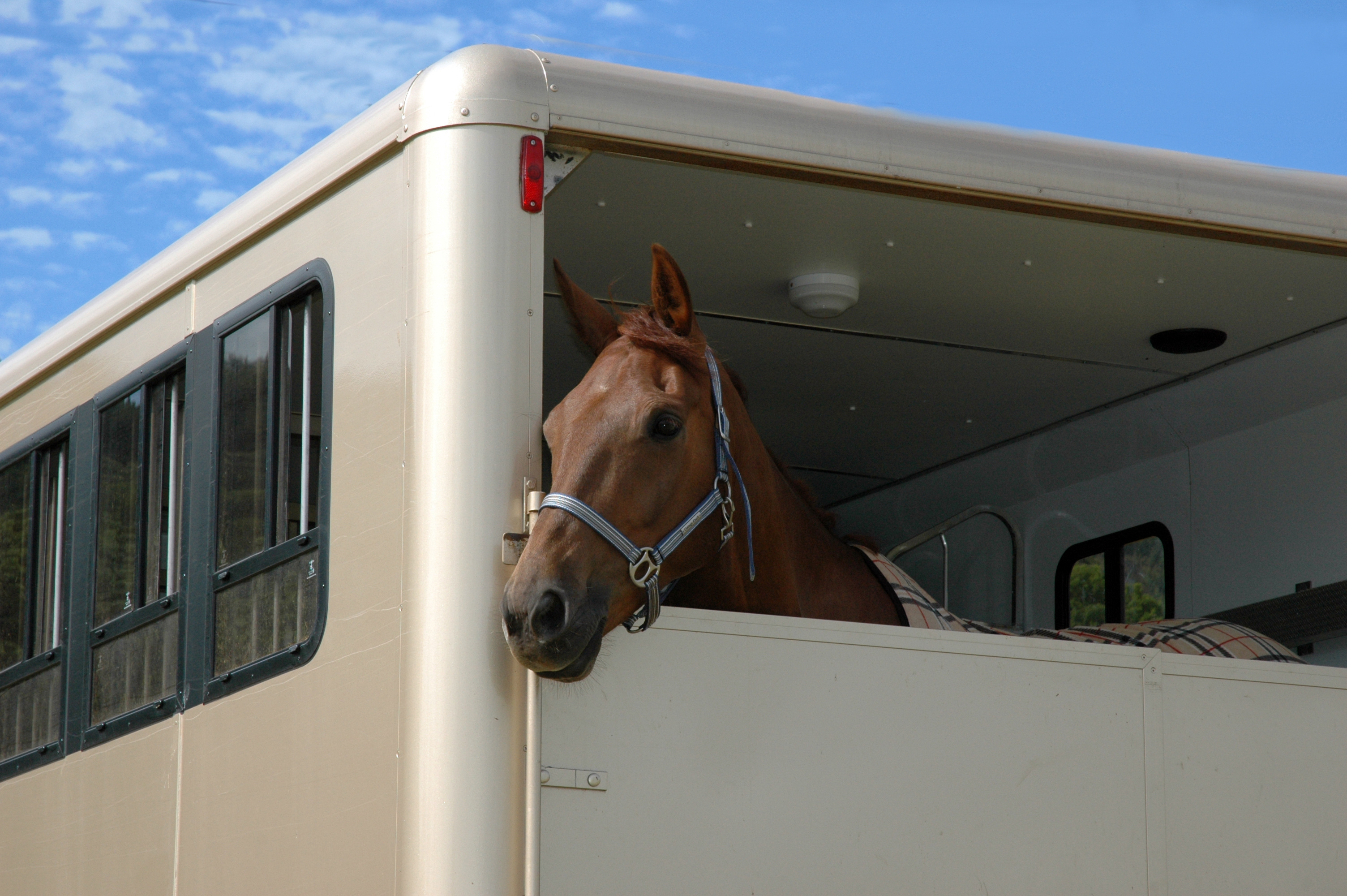Horse Trailer
